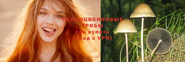 ECSTASY Новозыбков