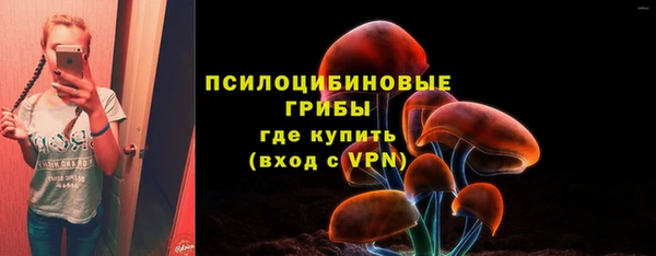соль ск Нефтегорск